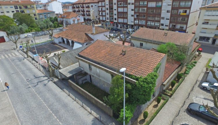 DCIM100MEDIADJI 0582.JPG