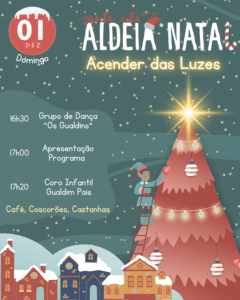 DIA1 (2)