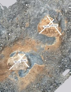pegadas de dinosaurios descobertas