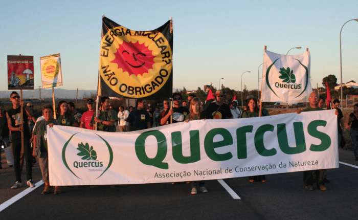 Quercus faz balanço sobre o ano de 2024