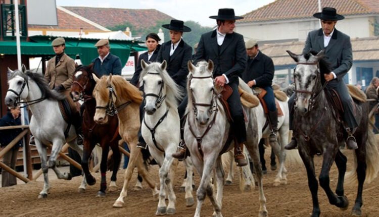 Golegã candidata Feira Nacional do Cavalo a Património Imaterial da Humanidade da UNESCO