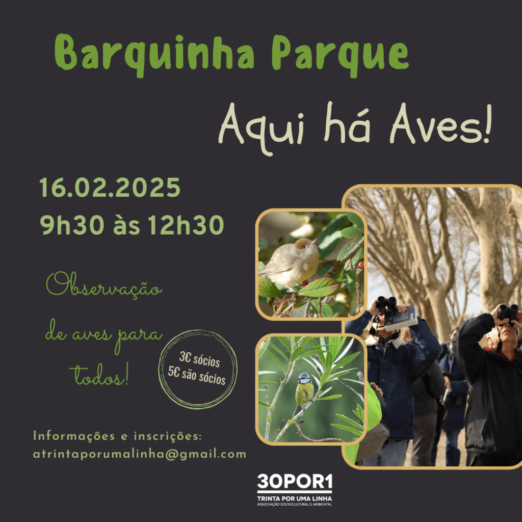 "Aqui há Aves!". 