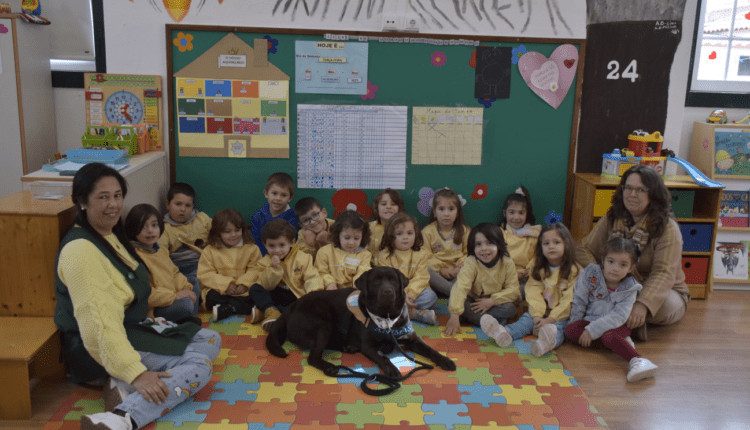Município da Chamusca promove sessões de serviços assistidos por animais nos Jardins de Infância