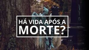 Uma Segunda Oportunidade de Vida