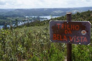 10.ª Rota dos Falcões assinala 10 anos de aventura em Santa Cita