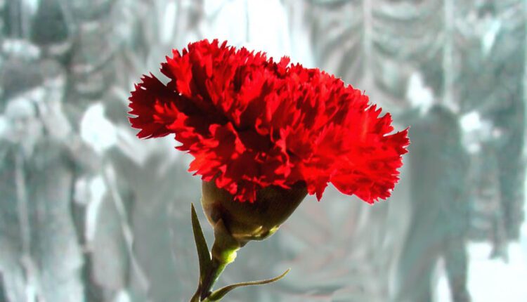 25 de Abril em Tomar tem homenagem a autarcas, sessão solene e muita animação