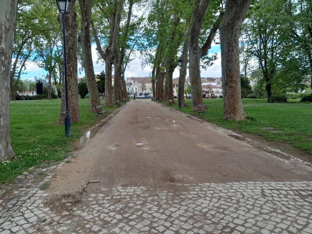 Câmara de Tomar explica intervenção de melhoria no Mouchão