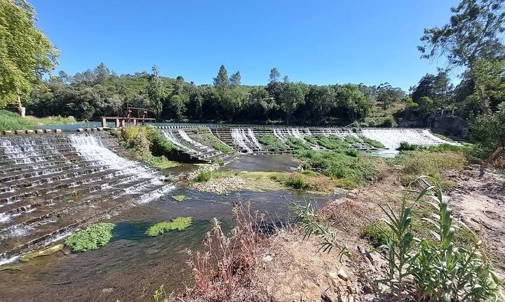 Deus, Pátria e Algodão: Mas Quem Cuida da História Operária?