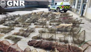 GNR apreende 90 nassas de pesca ilegal na Golegã