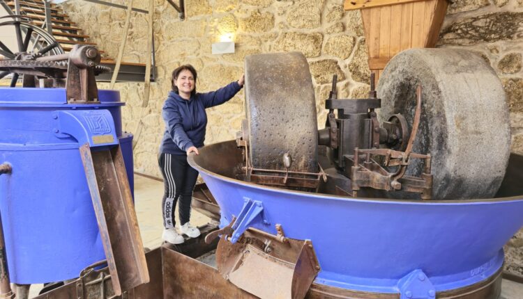 Ainda sou do tempo dos lagares de tapetes: um lamento pelo abandono da Cooperativa de Montes