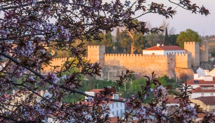 Torres Novas vai à frente na implementação do Projeto Bairro Digital