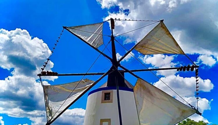 O Moinho de Elídio Silva, uma verdadeira lição de história sobre o ciclo do pão