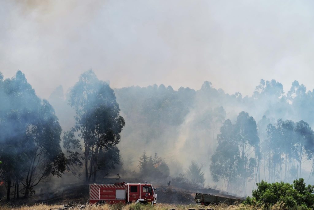 PJ detém suspeito de quatro incêndios em Ourém