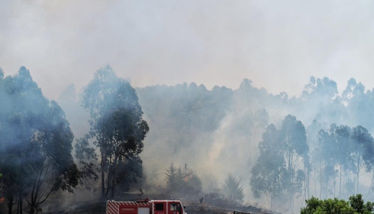PJ detém suspeito de quatro incêndios em Ourém