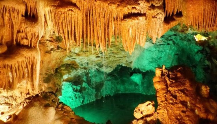 Passeio ideal para famílias e amantes da natureza, independentemente da região de partida.