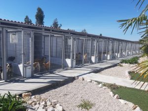 Centro de Recolha Oficial de animais de companhia de Tomar, uma excelente obra do município