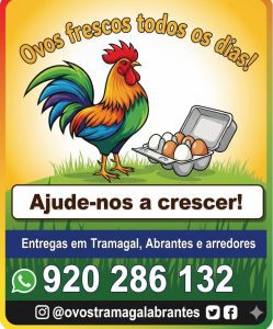 A história humana por detrás de um negócio de ovos