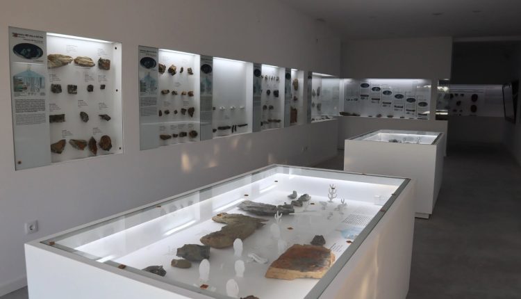 Vales de Cima inaugura Centro Paleontológico Nery Delgado com mais de 1.700 fósseis