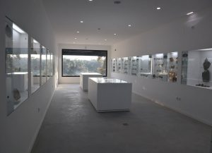 Vales de Cima inaugura Centro Paleontológico Nery Delgado com mais de 1.700 fósseis
