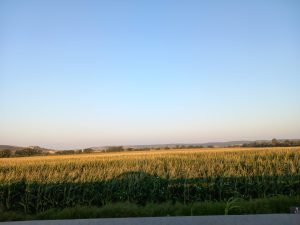 Porque gosto do Ribatejo…