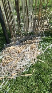 Vandalizaram esculturas no parque de esculturas contemporâneas da Barquinha 