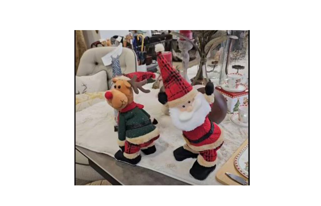 Natal já chegou à loja «Pinheiro-Bravo» em Tomar