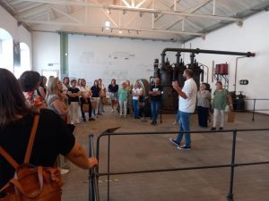 Professores exploram património e tradições de Tomar