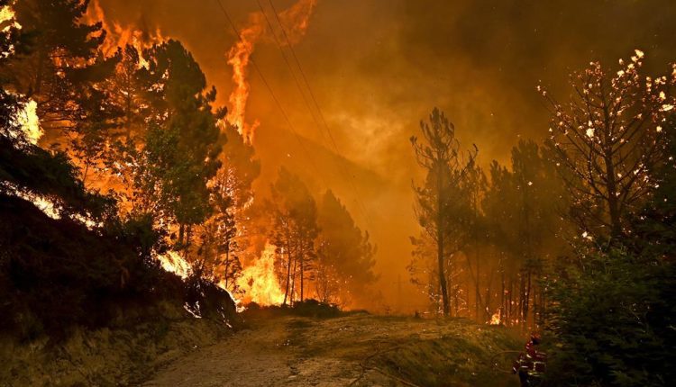 PJ detém incendiário florestal de Alvaiázere