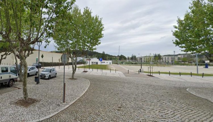 Em Tomar cortou-se figueira para afastar toxicodependentes.