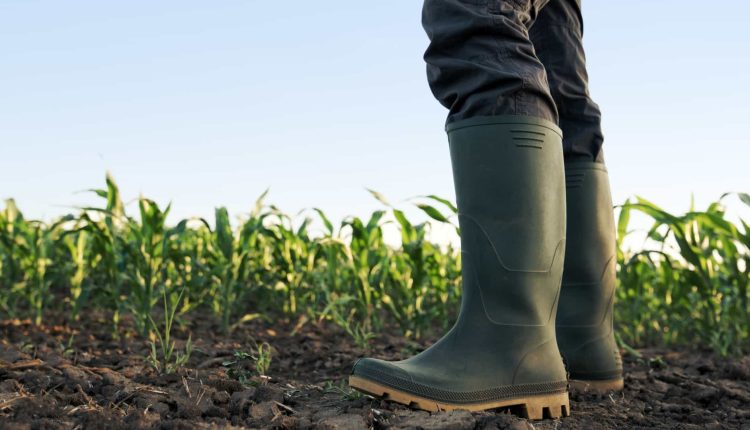 Saiba quais são os apoios para pequenos investimentos na Exploração Agrícola