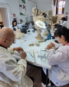 Tesouros do Palácio da Pena ganham nova vida no laboratório do Instituto Politécnico de Tomar