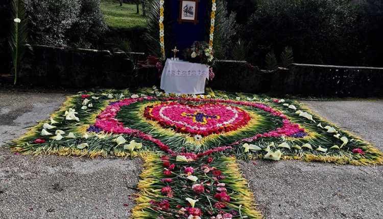 29357010 1658634620849138 735203203125084160 o 1