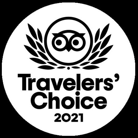 2021 travelers choice
