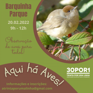Aqui ha Aves Barquinha Fev20221