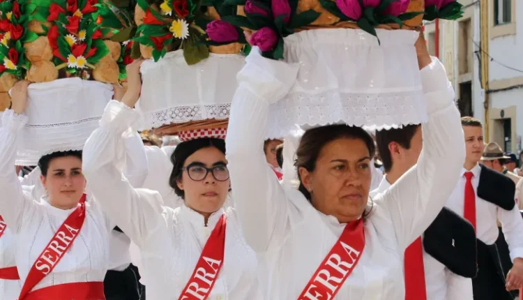 Cortejo dos Tabuleiros Tomar 07 julho 2019 38