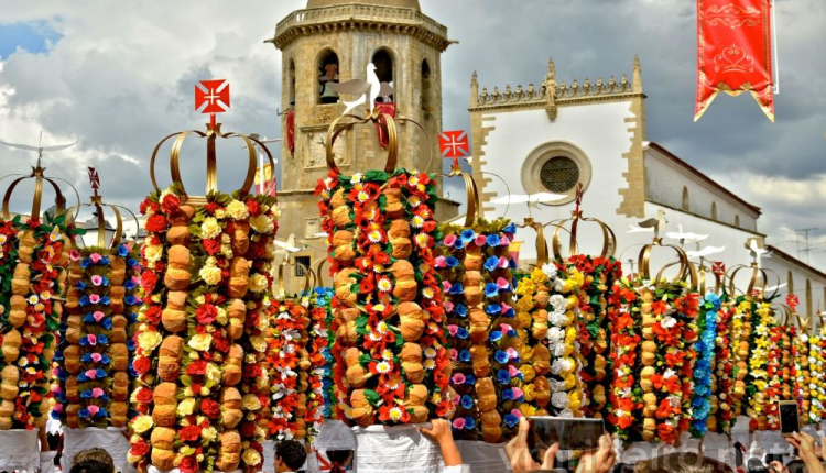 PKT 14259 63ab0288d087b
