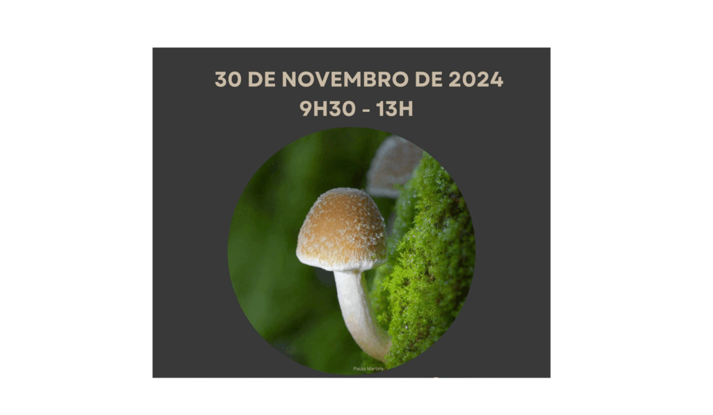 PasseioMicológicoMN7M Nov2024