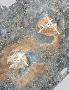pegadas de dinosaurios descobertas