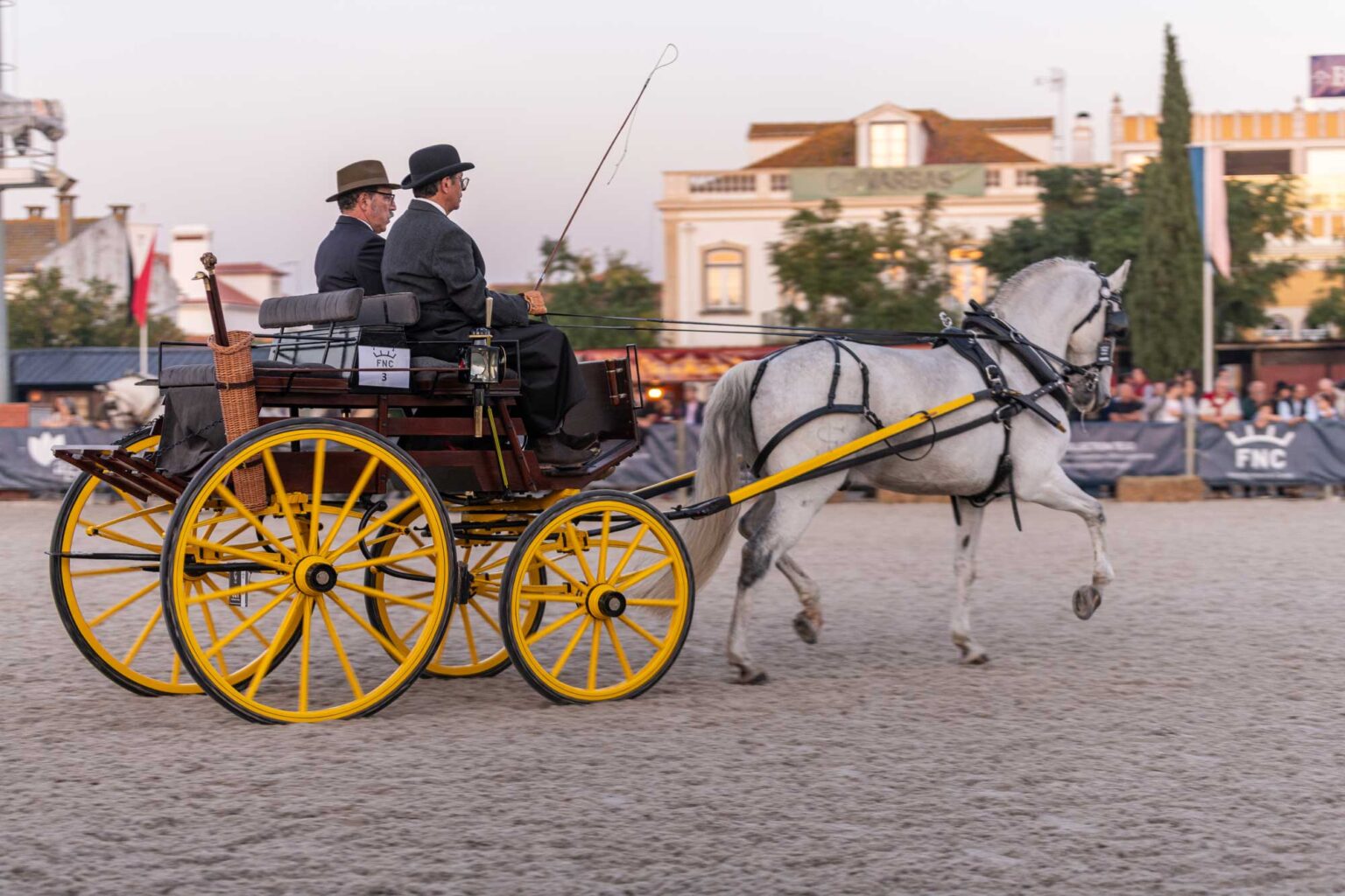 Golegã: Feira Nacional do Cavalo 2025 já tem data | Jornal O Templário