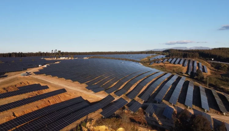 Há mais 53 hectares com 35 mil painéis solares no concelho de Abrantes