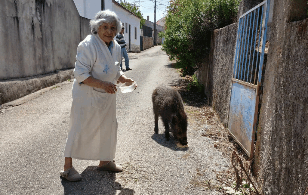 "O Barreiras" já é atração turística e gosta de jogar à bola
