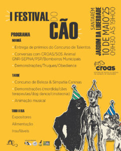 O melhor amigo do homem vai ser protagonista de um festival em Santarém