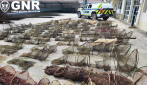 GNR apreende 90 nassas de pesca ilegal na Golegã