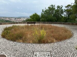 Desleixo dá má imagem da Cerrada dos Cães junto ao Convento de Cristo 