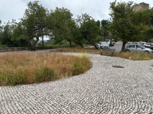 Desleixo dá má imagem da Cerrada dos Cães junto ao Convento de Cristo 