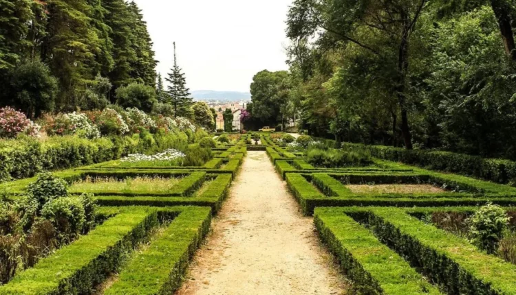 Wellness Weekend – “Tempo de Ser” já arrancou na Mata dos Sete Montes