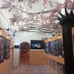 Exposição permanente da Festa dos Tabuleiros já foi inaugurada