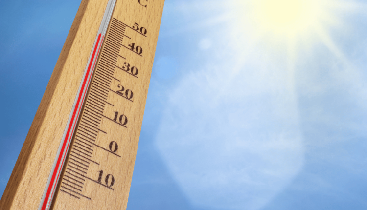 Trabalhar sob sol ardente, com elevadas temperaturas, deveria ser proibido