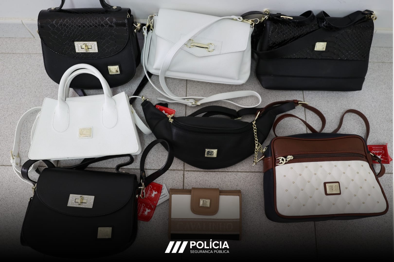 PSP recupera malas roubadas da «Loja Cavalinho» em Santarém