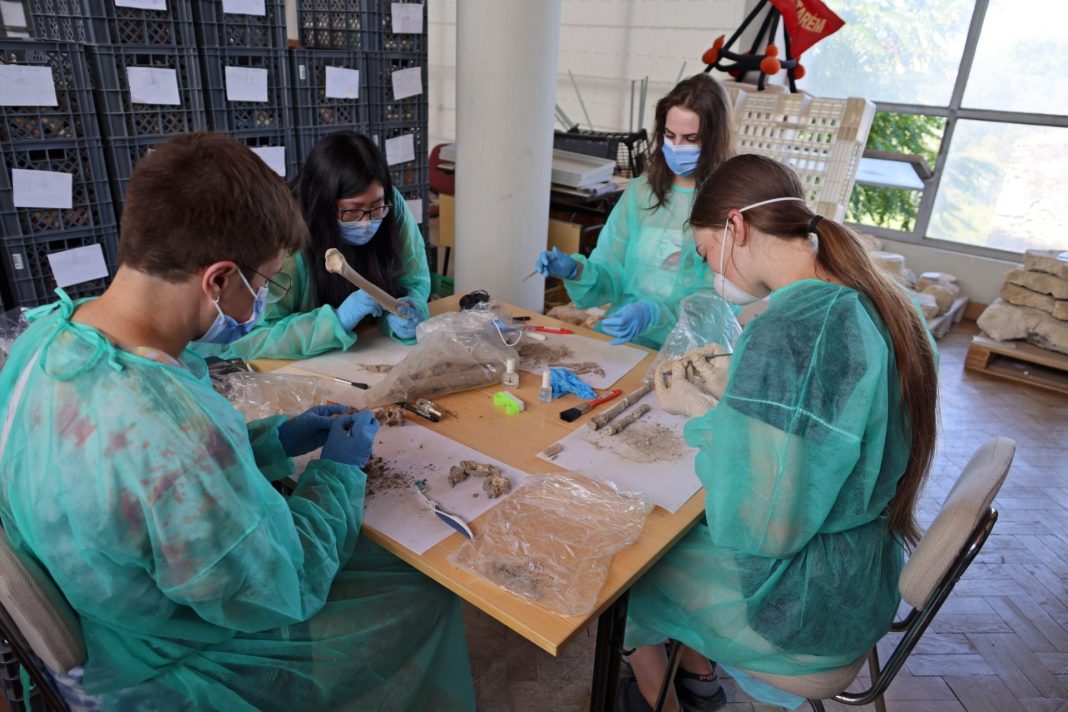 Mais linda homenagem aos alunos do Colégio Nun’Álvares não pode haver